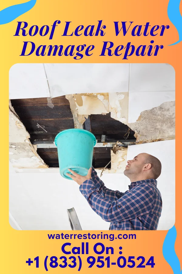 Roof Leak Water Damage Repair in Junction City, MO