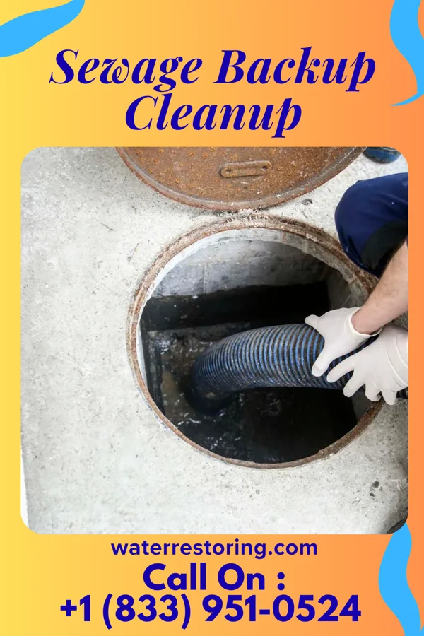 Sewage Backup Cleanup in Junction City, MO