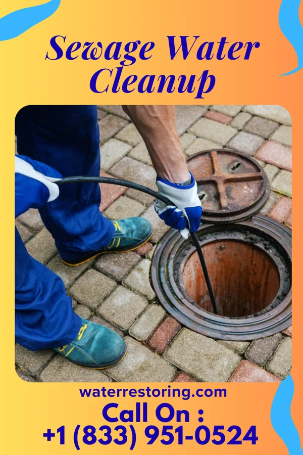 Sewage Water Cleanup in Junction City, MO